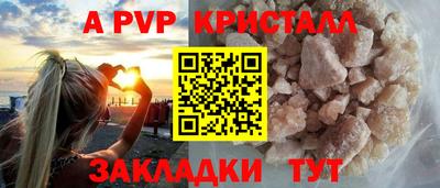 стаф Кинель