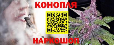 стаф Кинель