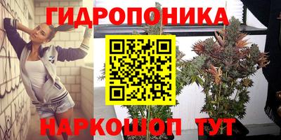 скорость Кингисепп