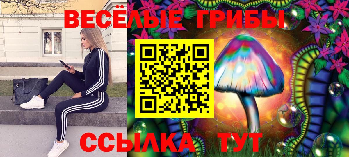 Псилоцибиновые грибы ЛСД  Вход с VPN  Кировск 